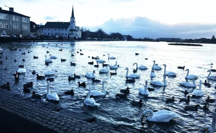 Reykjavik Highlights Tour in a Private SUV