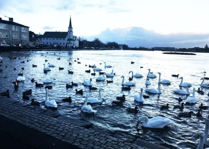 Reykjavik Highlights Tour in a Private SUV