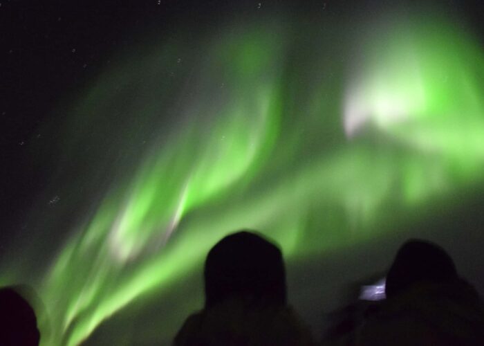 Northern Lights by Boat