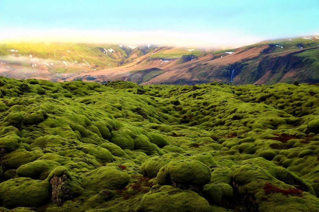 Eldhraun Lava Fields